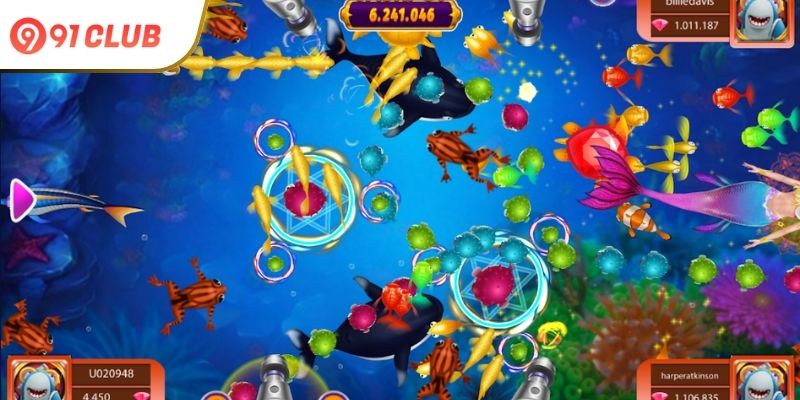 The-Future-of-Bombing-Fishing-on-91-Club