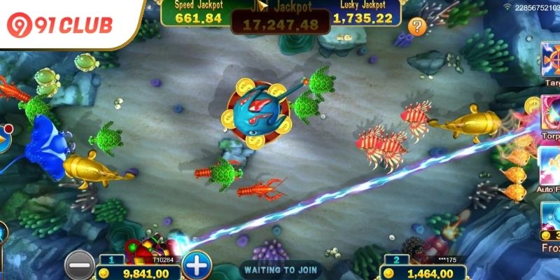 The-Future-of-Jackpot-Fishing-on-91-Club